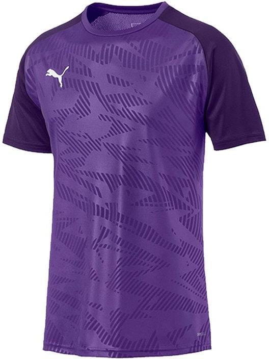 Dres Puma CUP Training Jersey Core