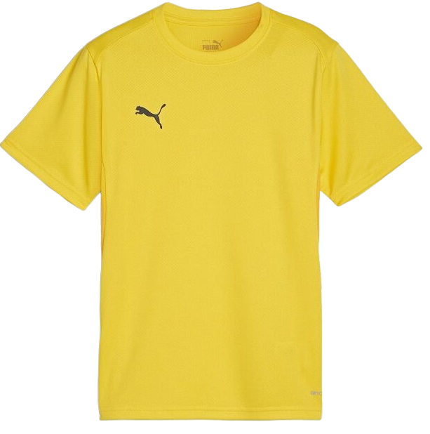 Tričko Puma teamGOAL T-Shirt