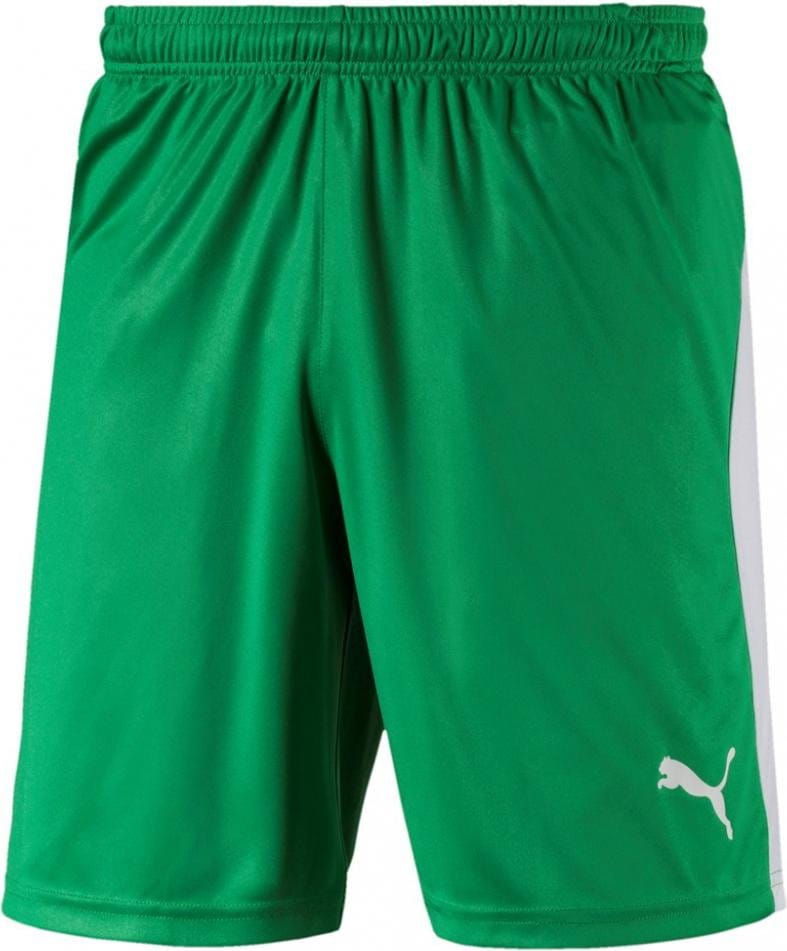 Šortky Puma LIGA Core shorts