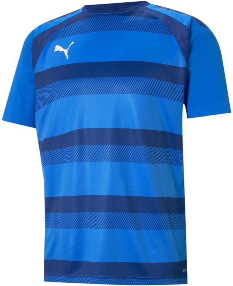 Dres Puma teamVISION Jersey
